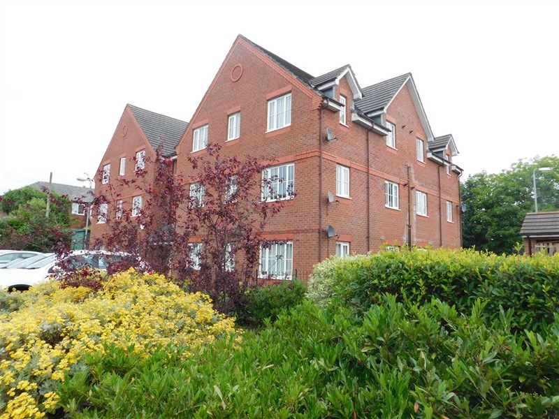 Main Image